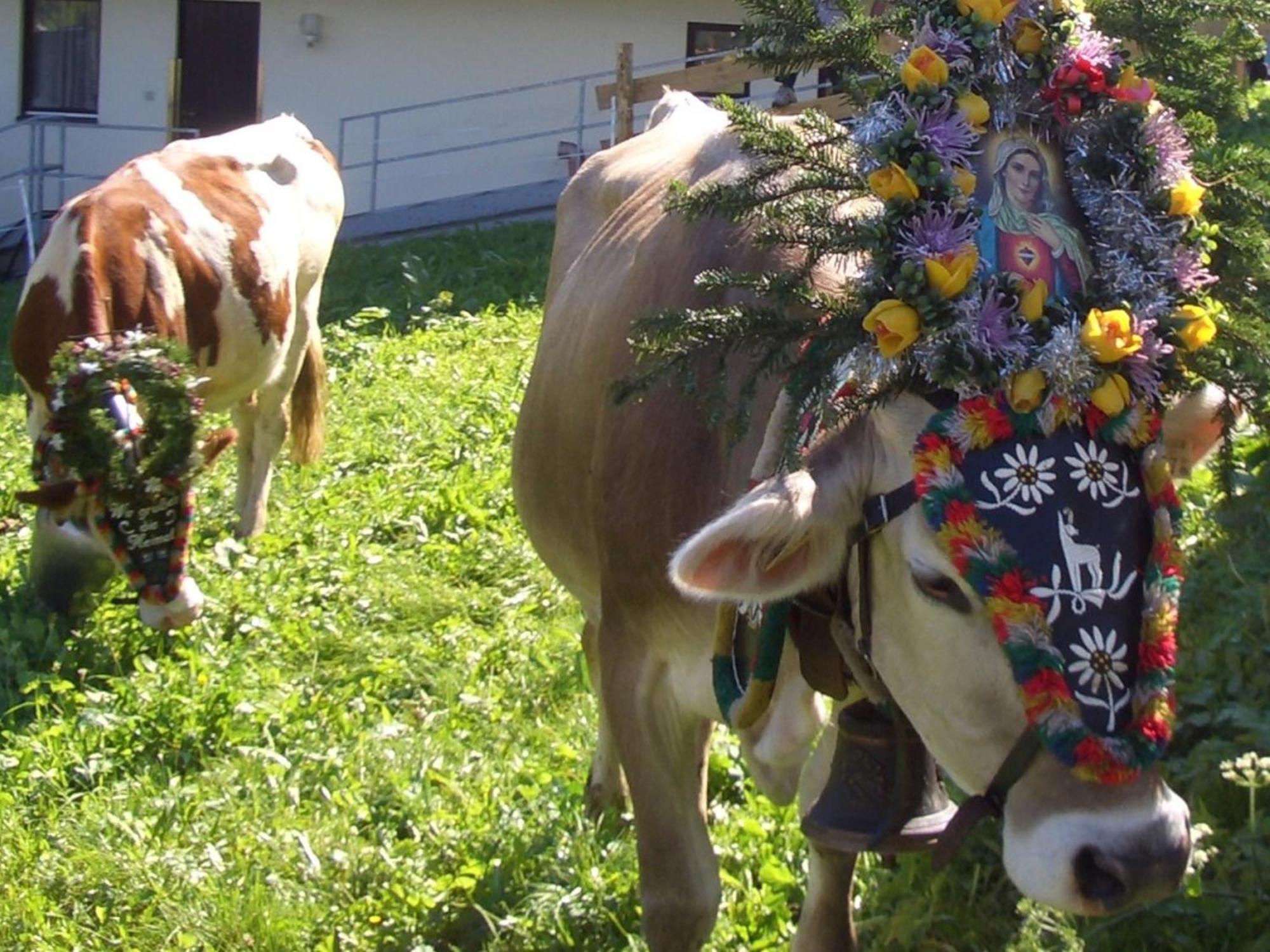 Hotel Gasthof Jaeger Zillertal Schlitters Luaran gambar